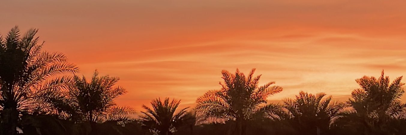 adeemSami's profile banner image