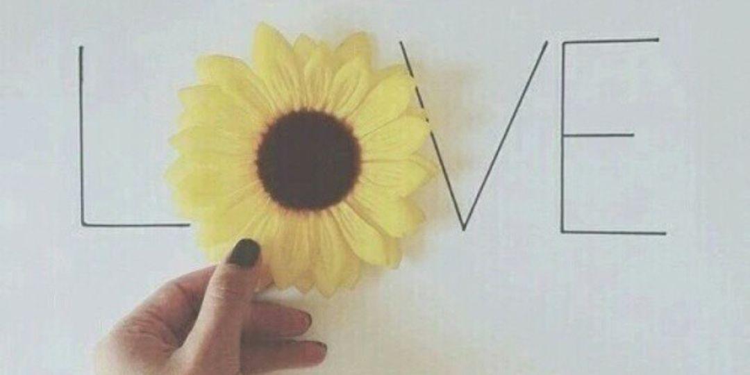mariaarcones1's profile banner image