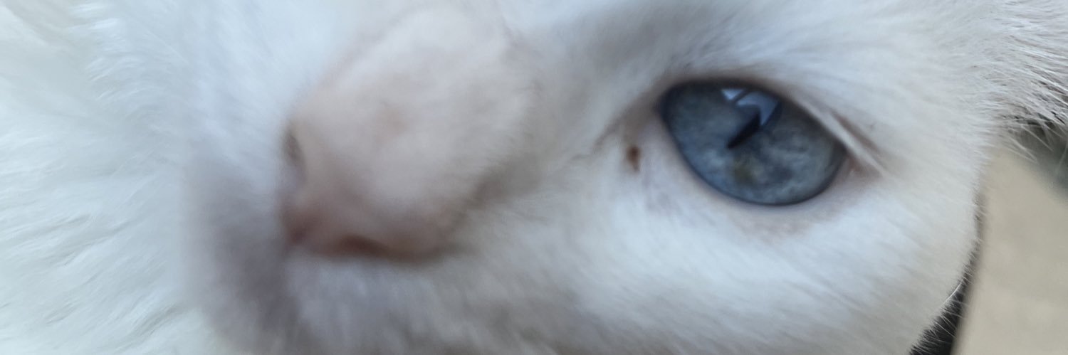 jannmorais's profile banner image