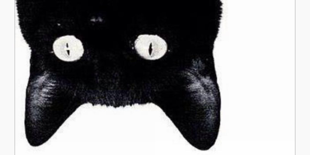 chrystalcuck's profile banner image