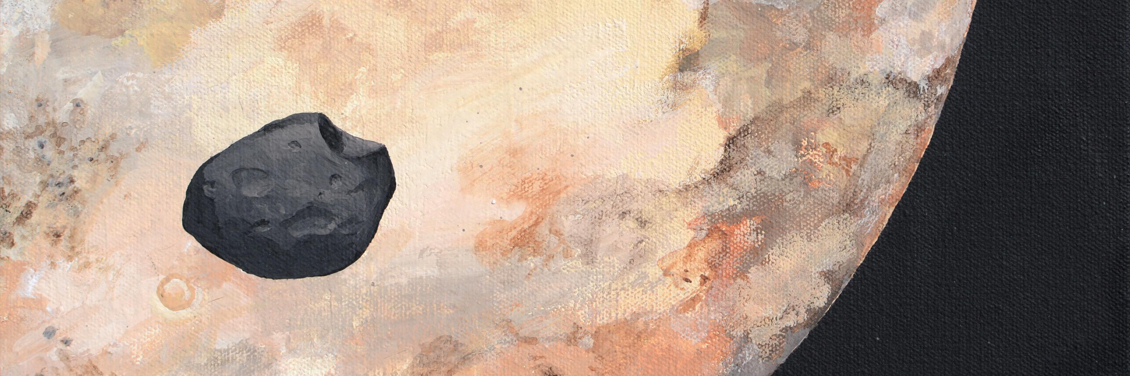 Melissa J. Roche banner