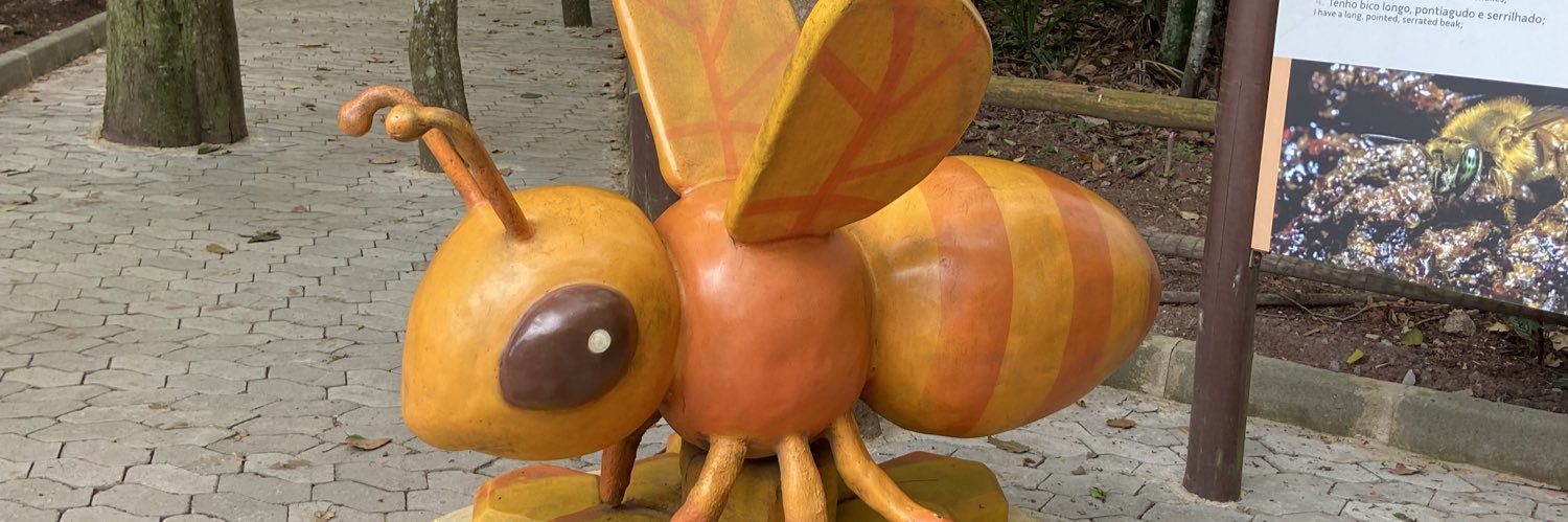 kombitorinha banner