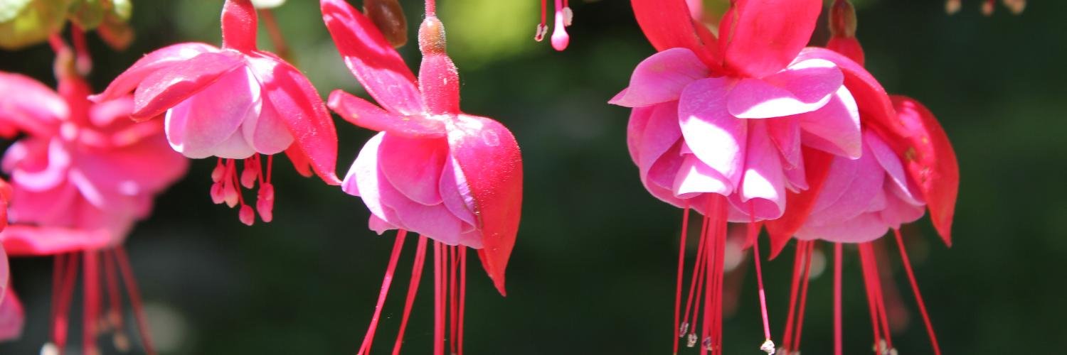 mlapinski1031's profile banner image