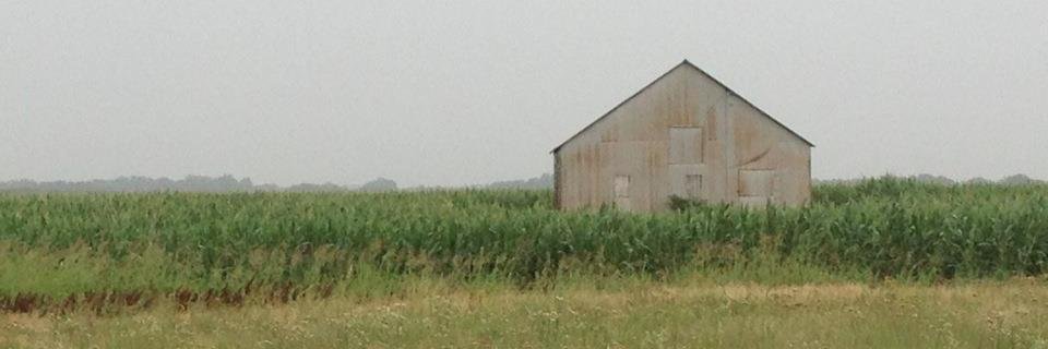 Cara Adney banner