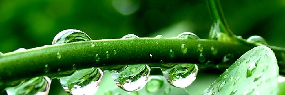 affiliateh's profile banner image