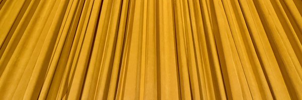 ItsLizNotLizzie Profile Banner