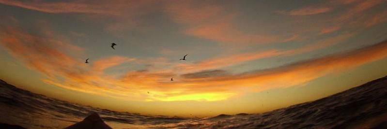 ericavillalobos's profile banner image