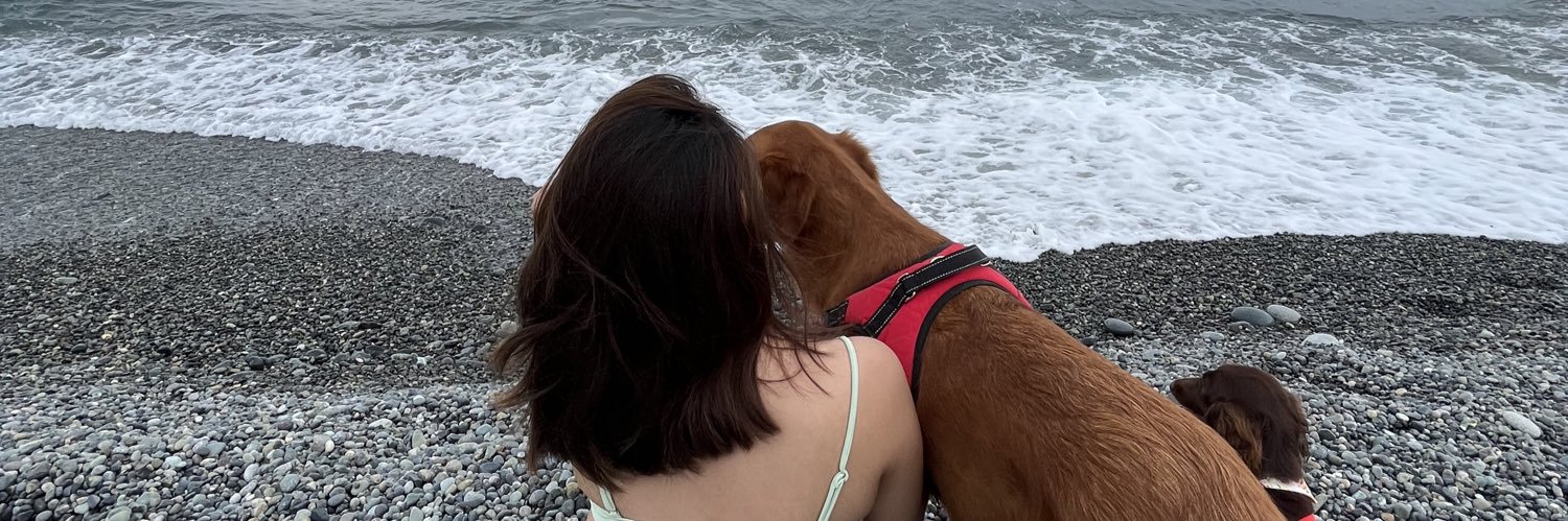 roxteodosioo's profile banner image