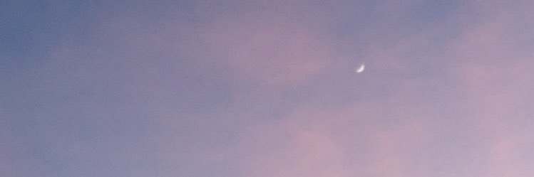 _rosecook's profile banner image