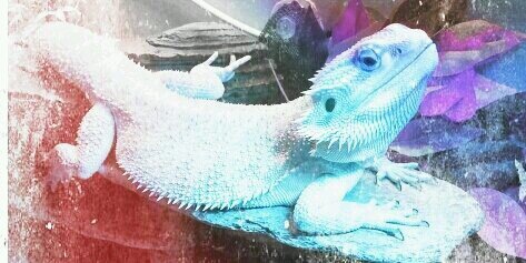 vindoozel's profile banner image