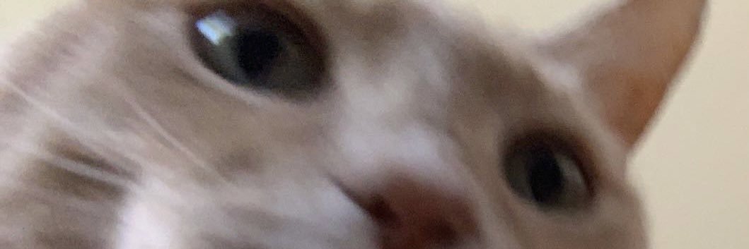 sibby_snickers's profile banner image