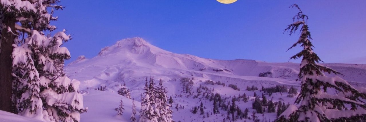 Dapertilldeath's profile banner image
