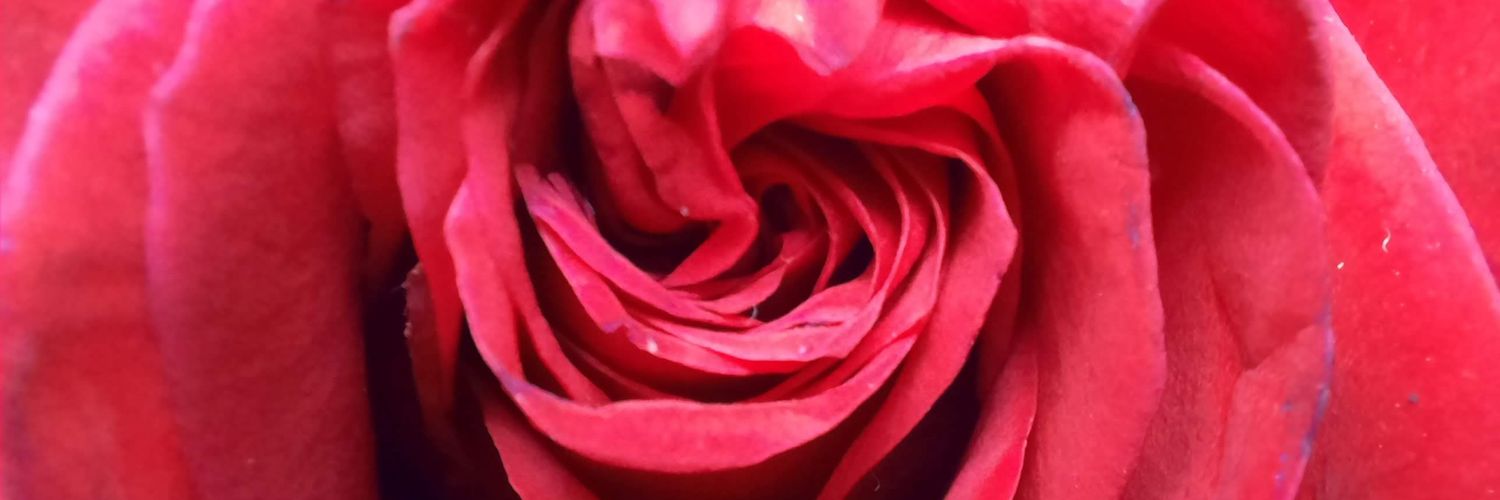 ambarzu's profile banner image