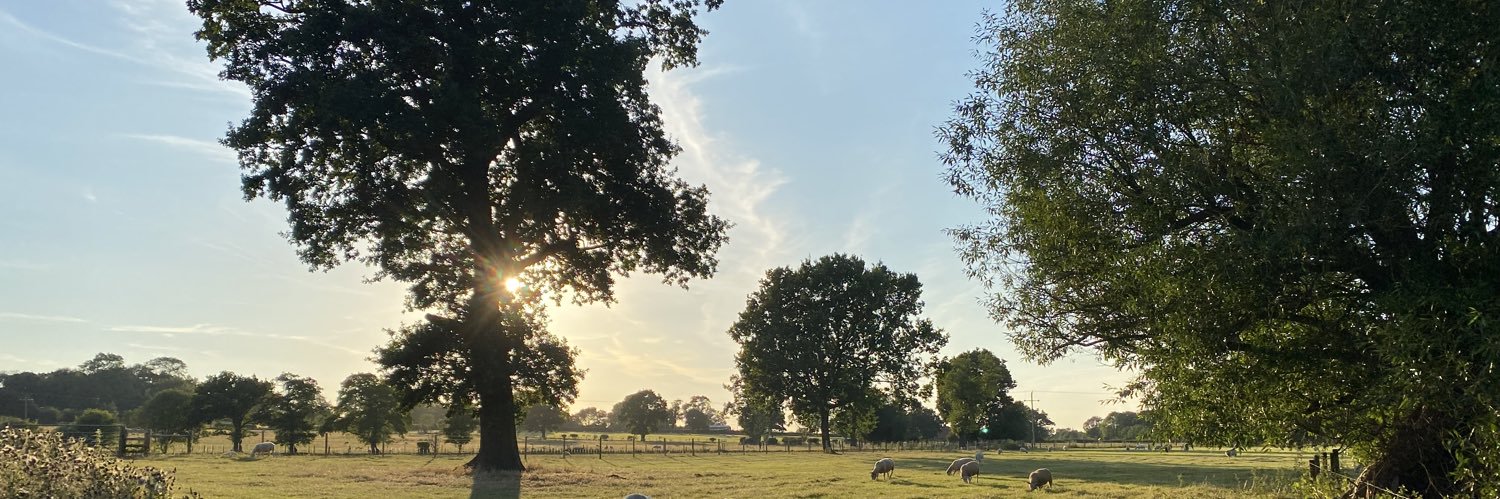 JoshMSlater's profile banner image