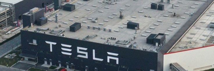 lon Muskk banner