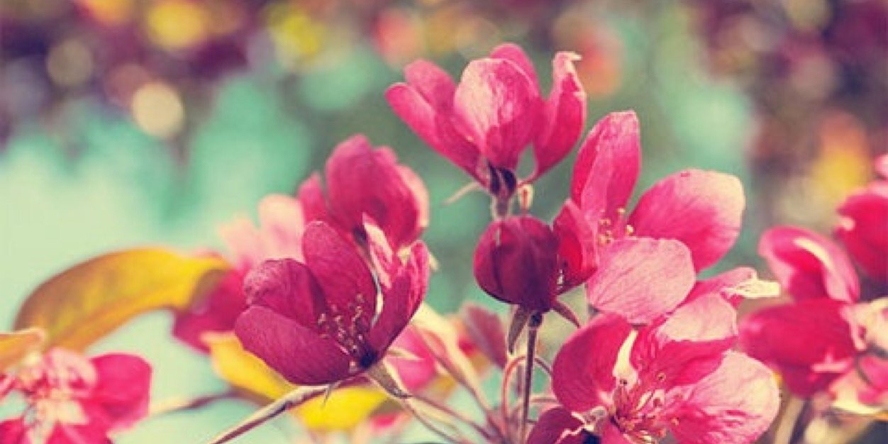 xie_max's profile banner image