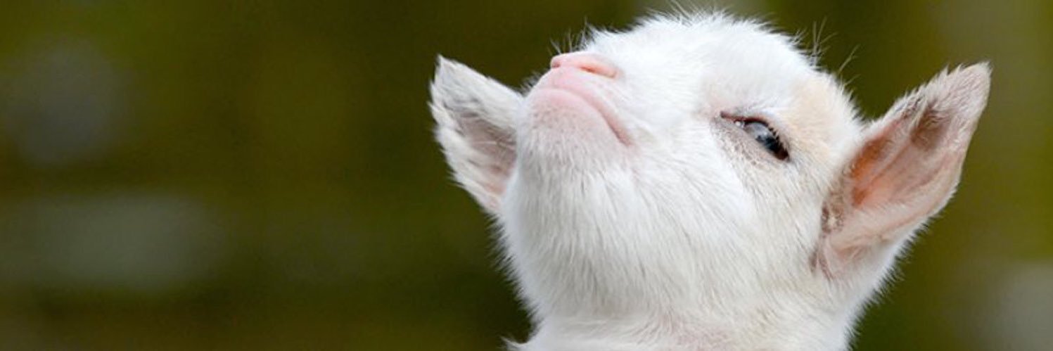 itsJKtime's profile banner image