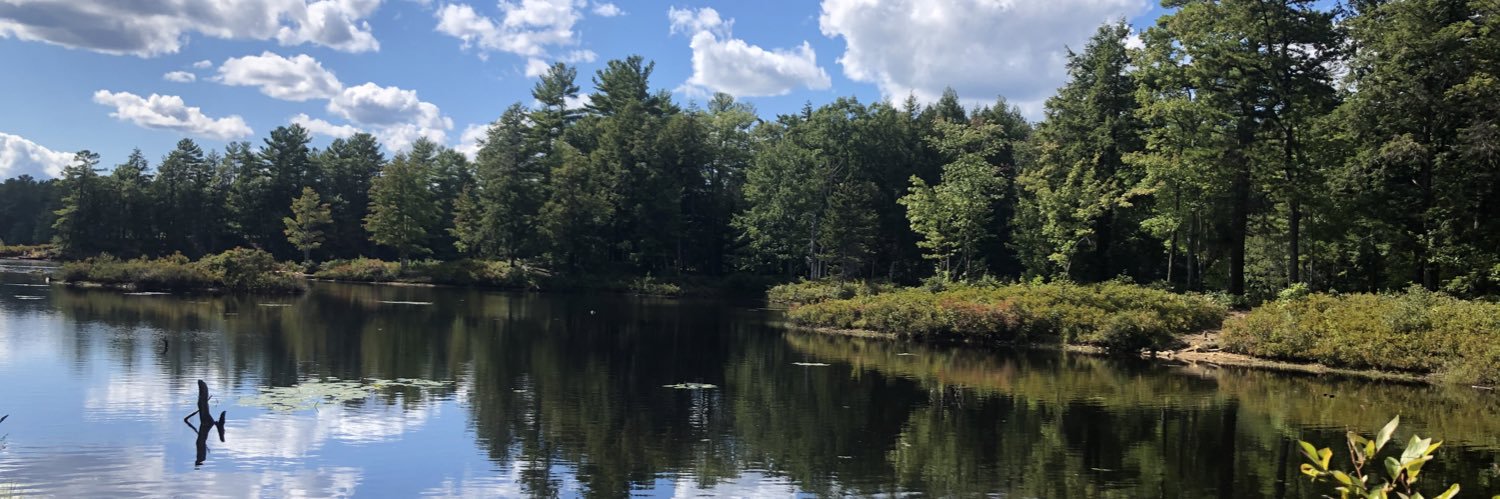 Sona Chikarmane MD banner