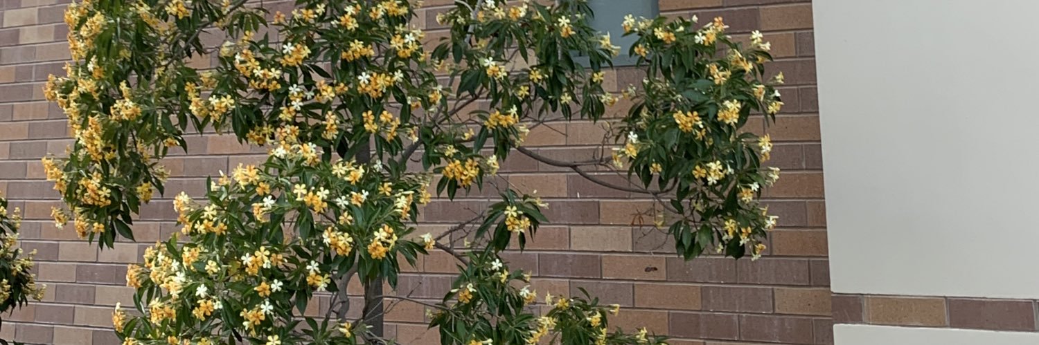 tetisydney's profile banner image