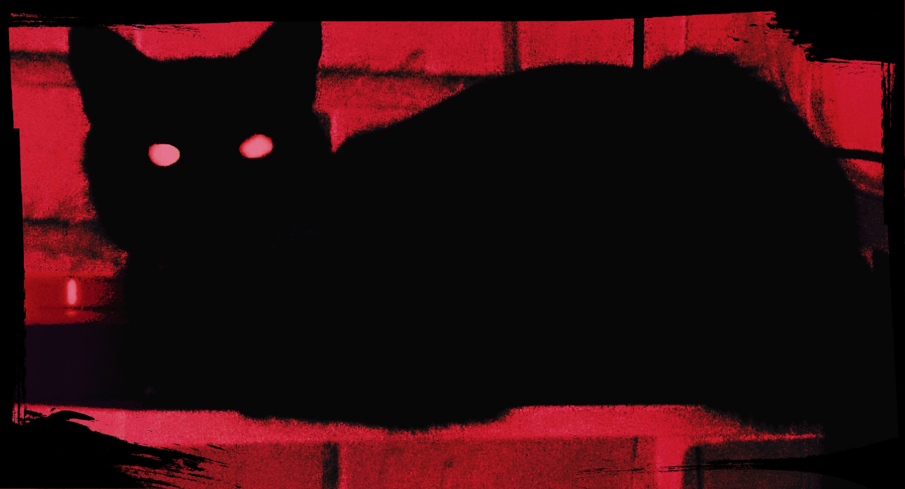 74tecko's profile banner image
