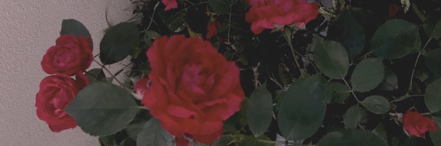 bcitookurpulse's profile banner image