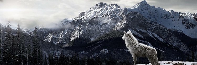 drdelibalta's profile banner image