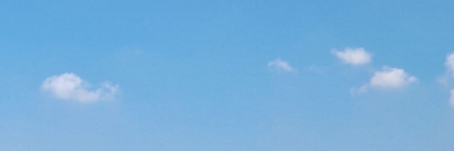 Daniel Bensusan banner