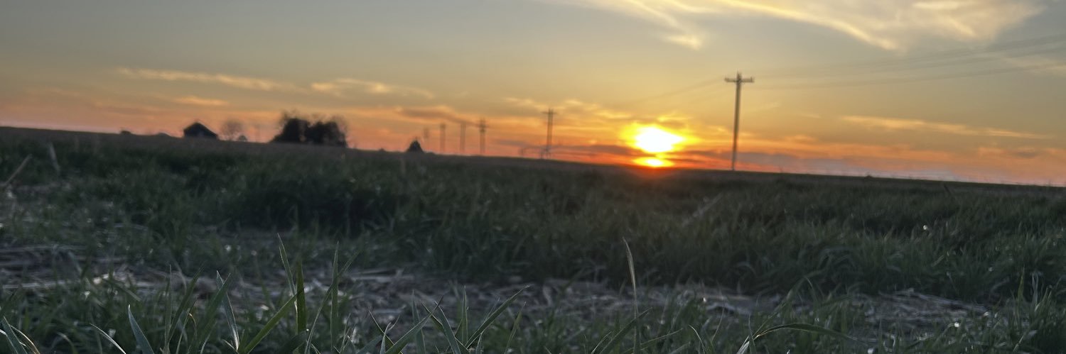 shelbhigh's profile banner image