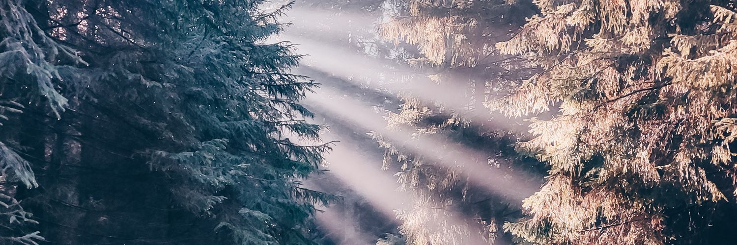 TanerLale1's profile banner image