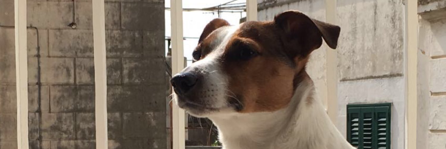rossyssima80's profile banner image