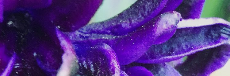 oxyconundrum's profile banner image