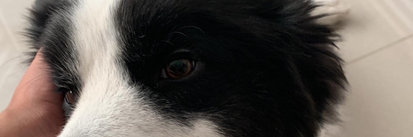 Maytemv08's profile banner image