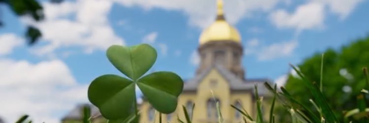 Blaine Greene banner