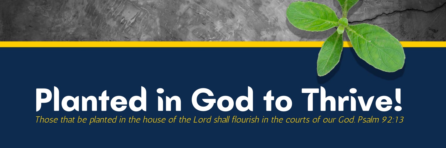 SPWOC's profile banner image