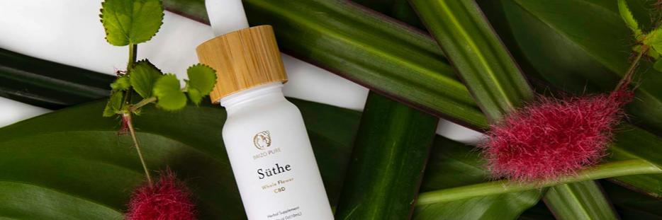 SmoothiesByJoli's profile banner image