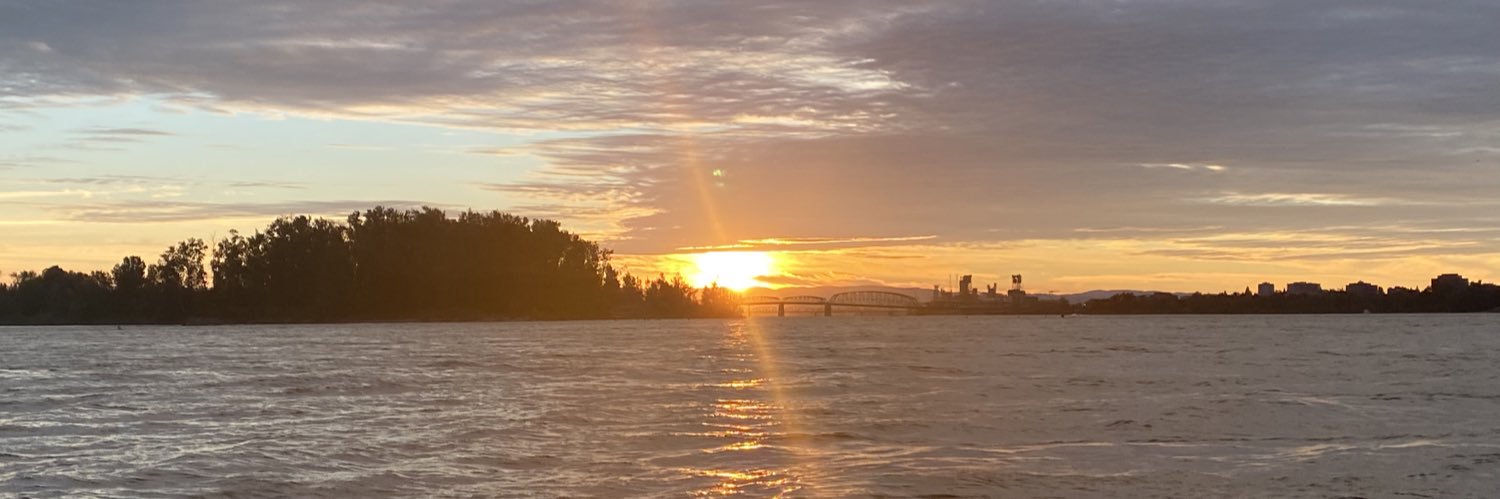 LoriDemPDX's profile banner image