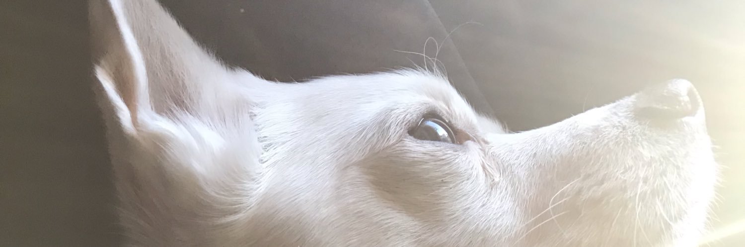 Sharalok's profile banner image