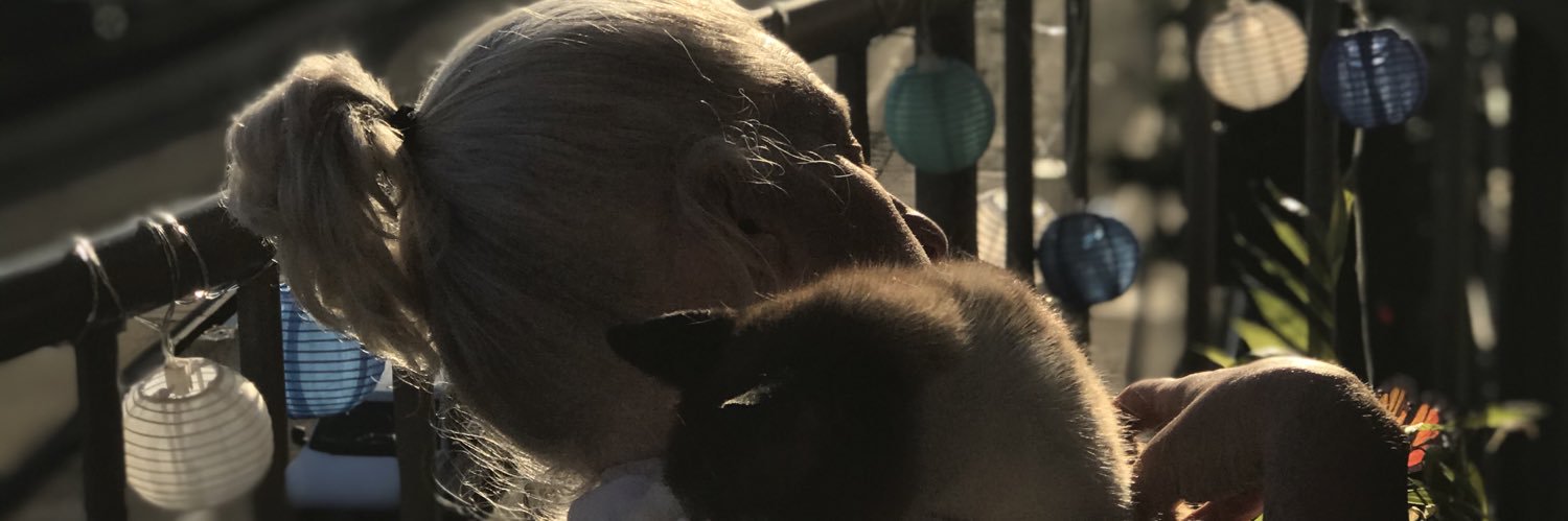 Cherie banner