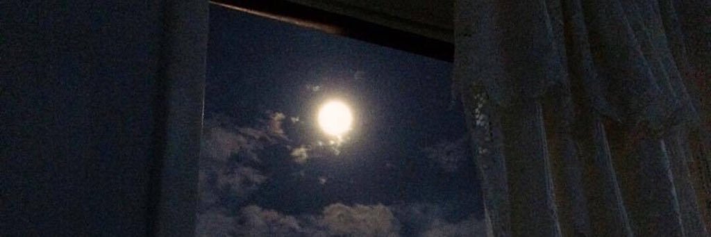 Samaaa99's profile banner image