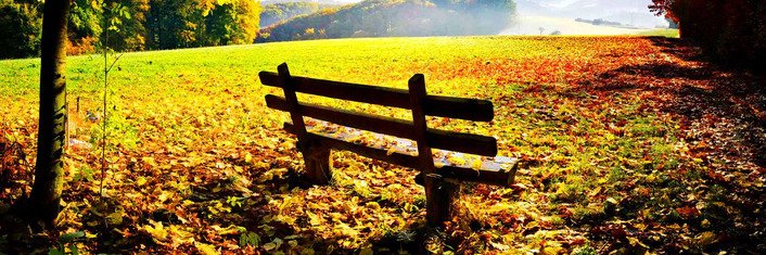 HealthyAtHome_'s profile banner image