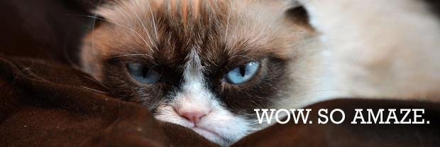 iLOLdforWP's profile banner image