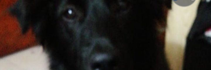 15kimico's profile banner image