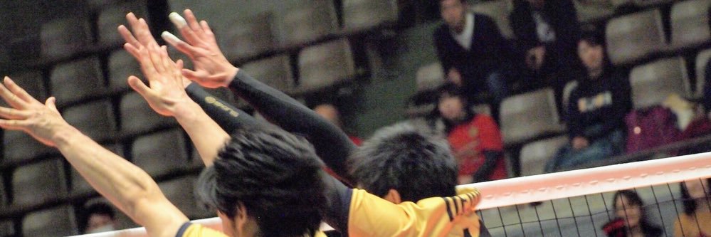 sun_canola's profile banner image