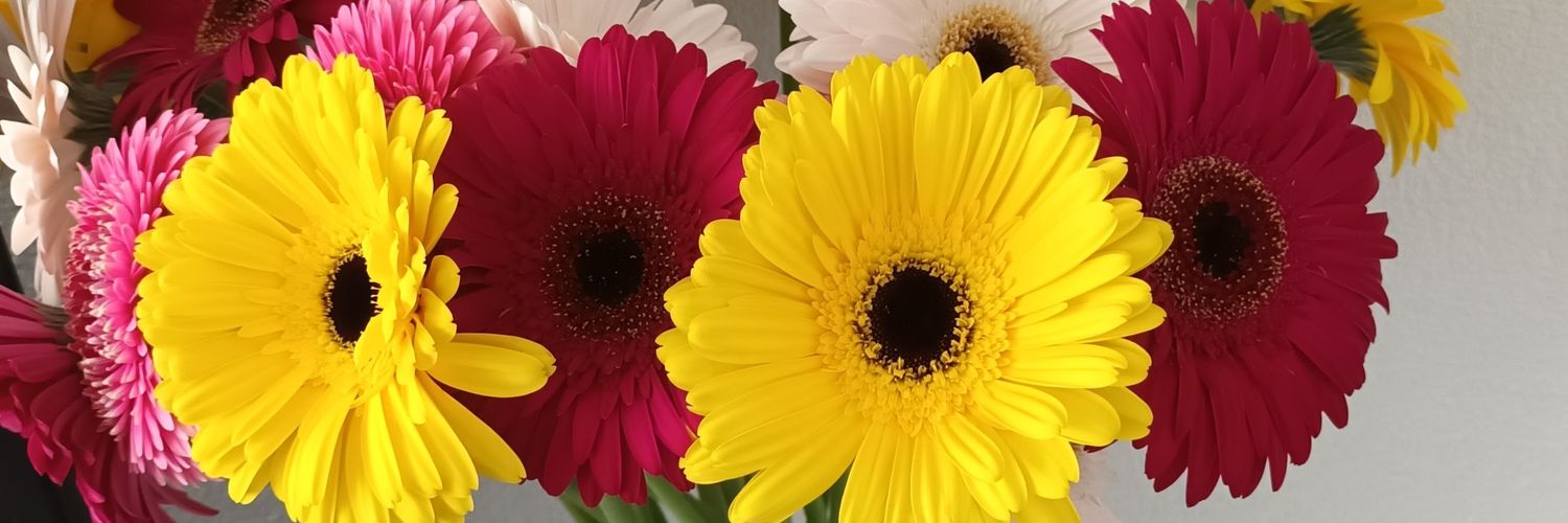 Dilaver_38's profile banner image