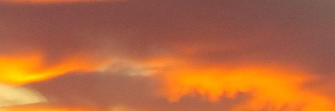 Rociions_'s profile banner image