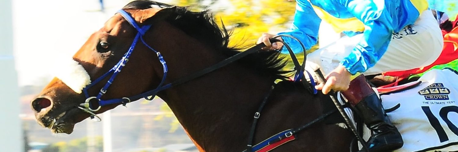vaughankoster's profile banner image