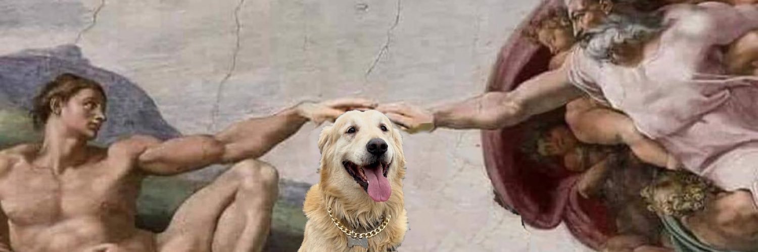 DavidsBR's profile banner image