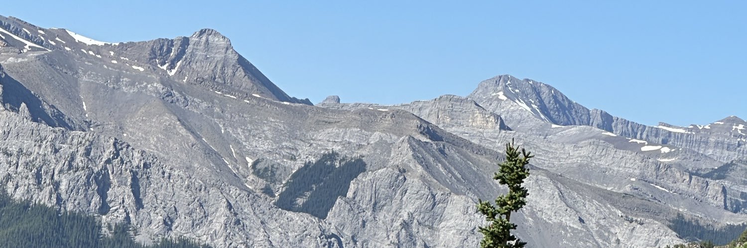 Shannon Phillips 🇨🇦 banner