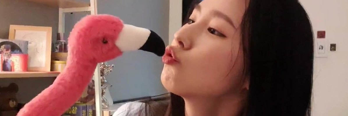 i miss soojin (ia bcs finals) banner
