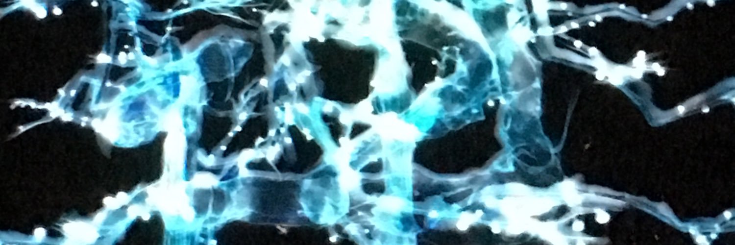 nicolettetoni's profile banner image